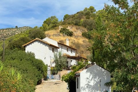 Cortijo i Montefrio, Granada, Montefrio - € 220.000 | Ref: GVCCPCM - foto 50